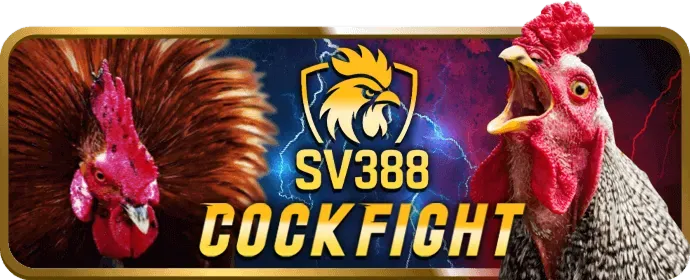 Ưu đãi chào mừng thành viên mới vin777 login